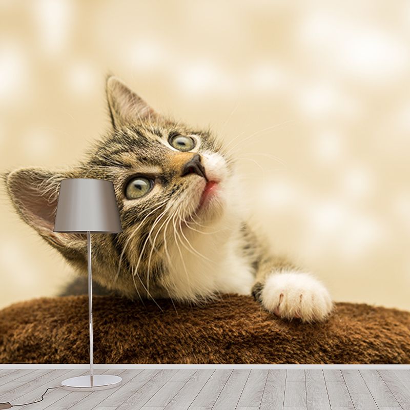 Cats Mildew Resistant Mural Wallpaper Sleeping Room Wall Mural
