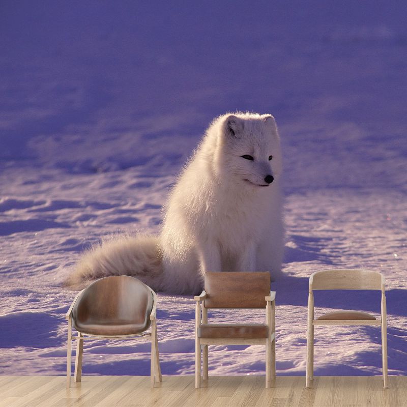 Wolf Animal Wall Art for Living Room Bedroom Home Decorations, Stain Resistant