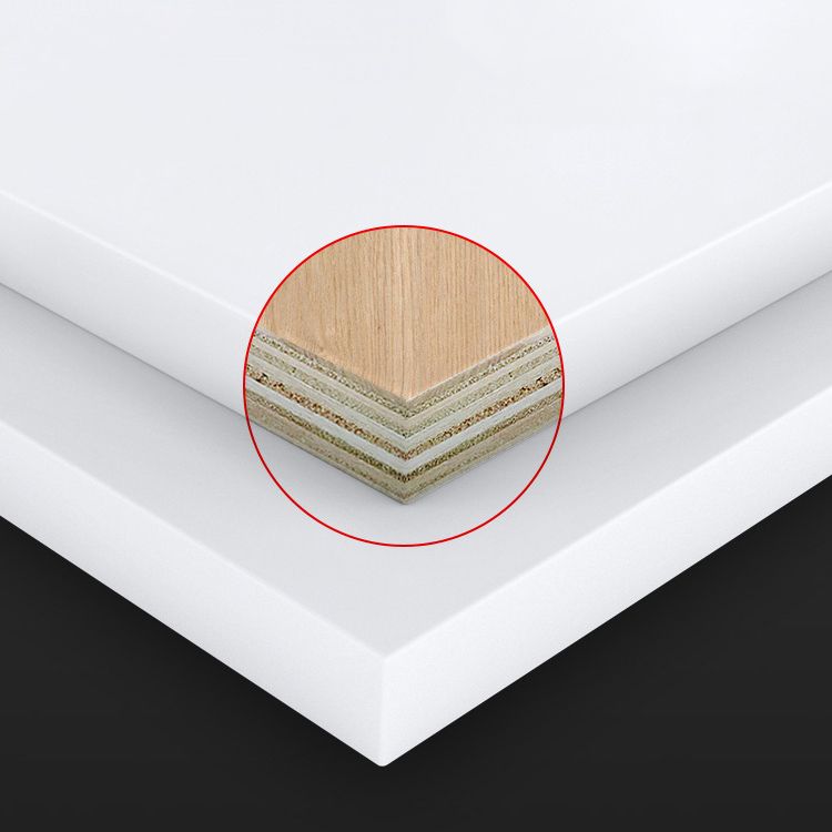 Wooden Standard Bookcase Contemporary Closed Back Bookcase with Door for Office