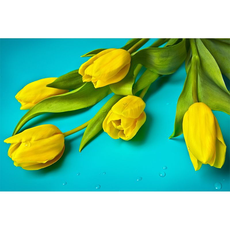 Home Decor Flower Customized Contemporary Wall Covering for Gust Room Bedroom