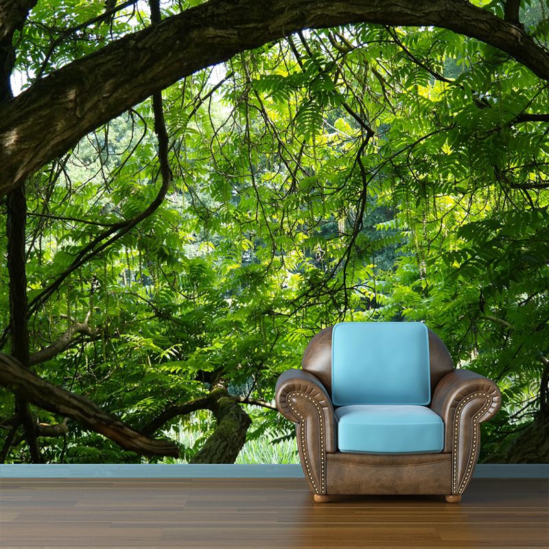 Contemporary Forest Wall Mural Decor Horizontal Photography Eco-friendly for Decoration