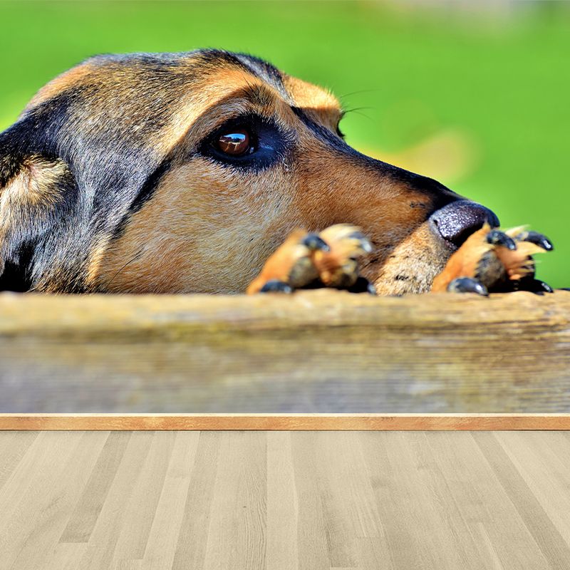 Lovely Dog Murals Wallpaper Water Resistant Wall Decor for Sitting Room