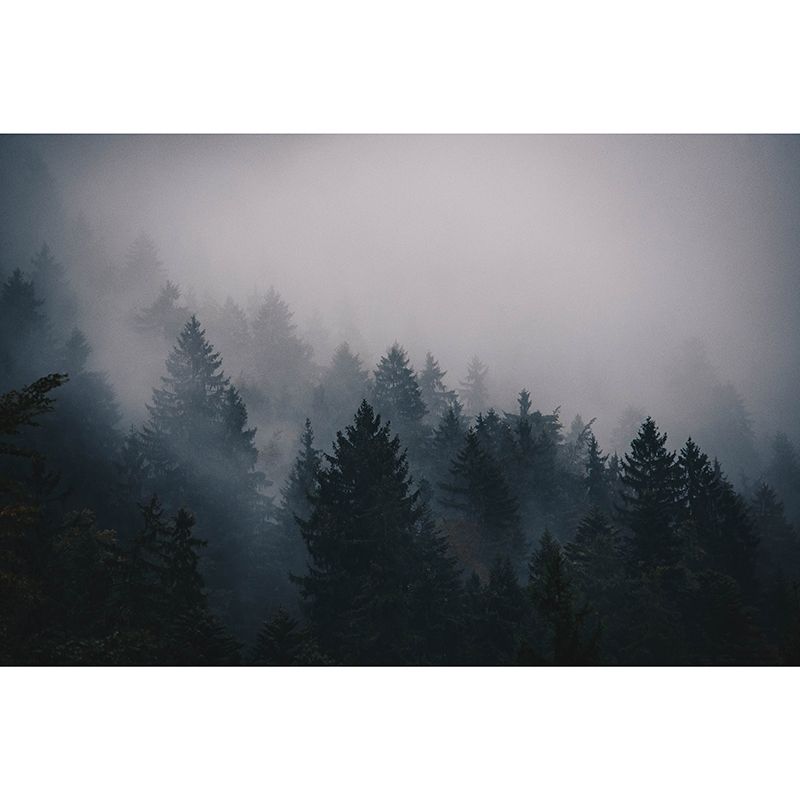 Washable Photography Mural Wallpaper Woods Landscape Indoor Wall Mural