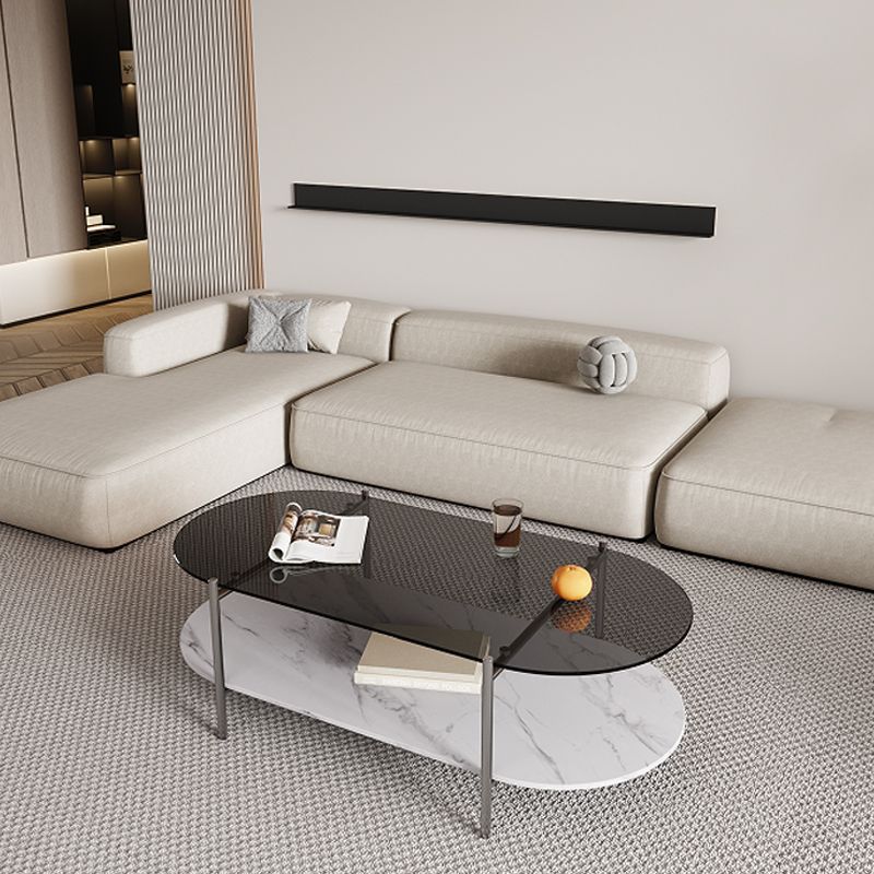 15.74" H Oval Glass Coffee Table Stainless Steel Sled Cocktail Table with Shelf