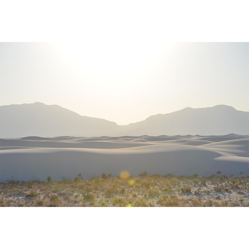 Desert Wall Mural Wallpaper Modern Style Mildew Resistant for Living Room