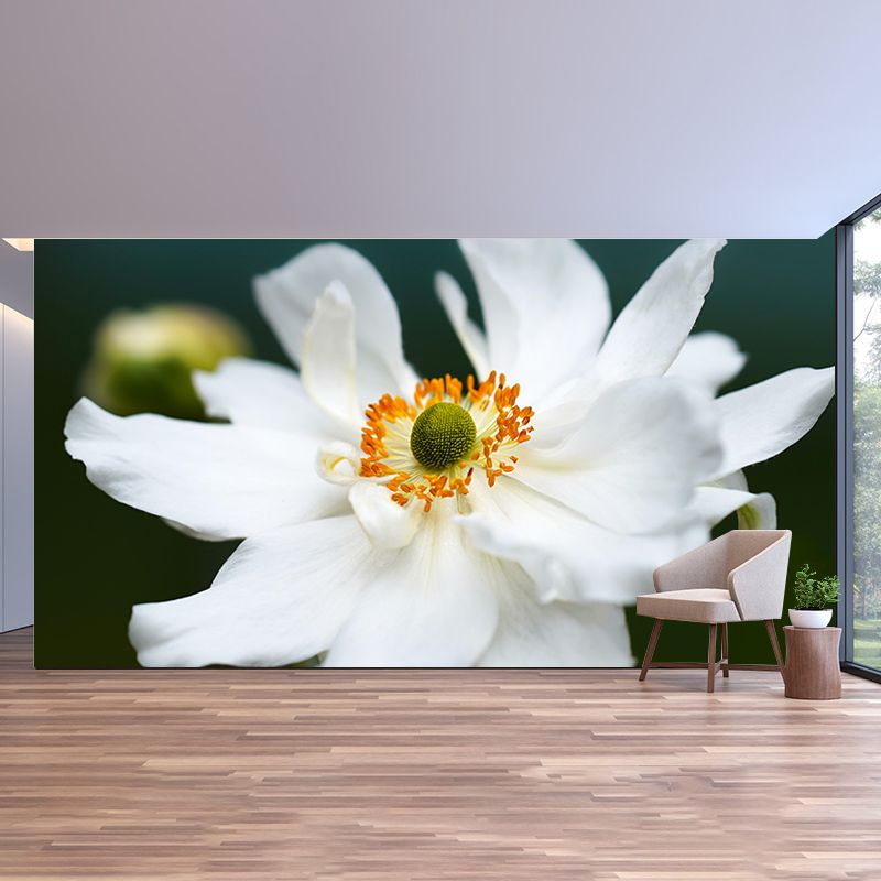 Beautiful Flower Mural Wallpaper Photography Horizontal Wall Decor for Home