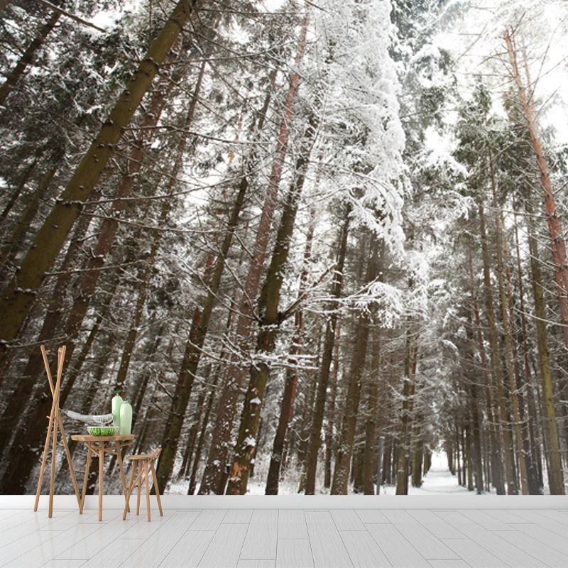 Brown Modern Art Mural Full Size Looking Up to Snow Forest Wall Covering for Living Room