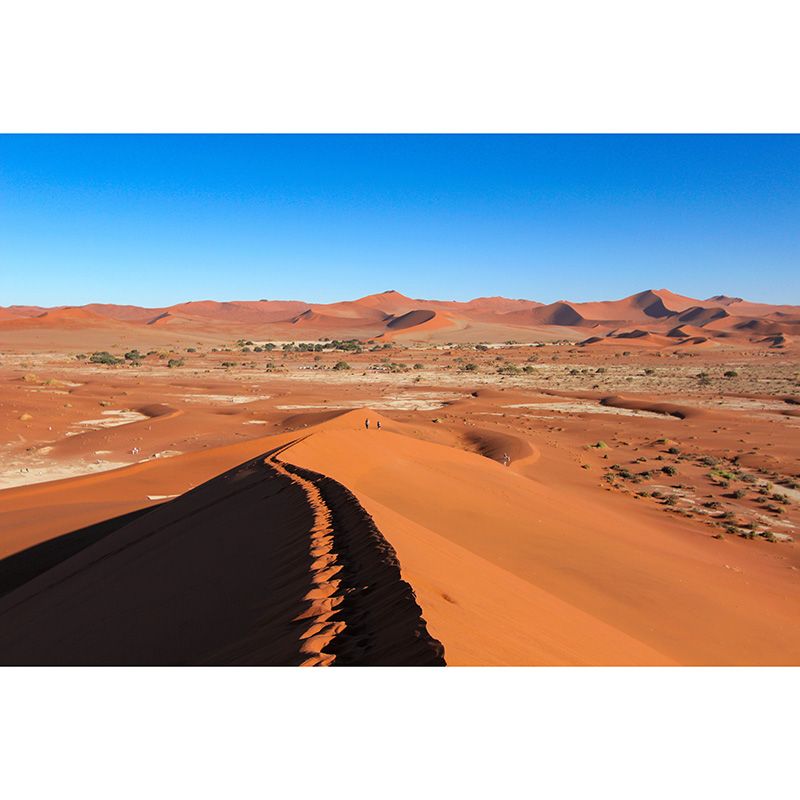 Yellow Desert Hillock Decor Wall Mural Sitting Room Wall Covering,Custom Size