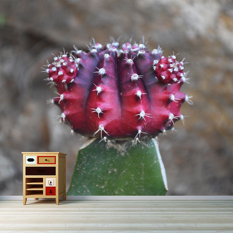 Photography Wall Mural Cactus Pattern Living Room Wall Mural