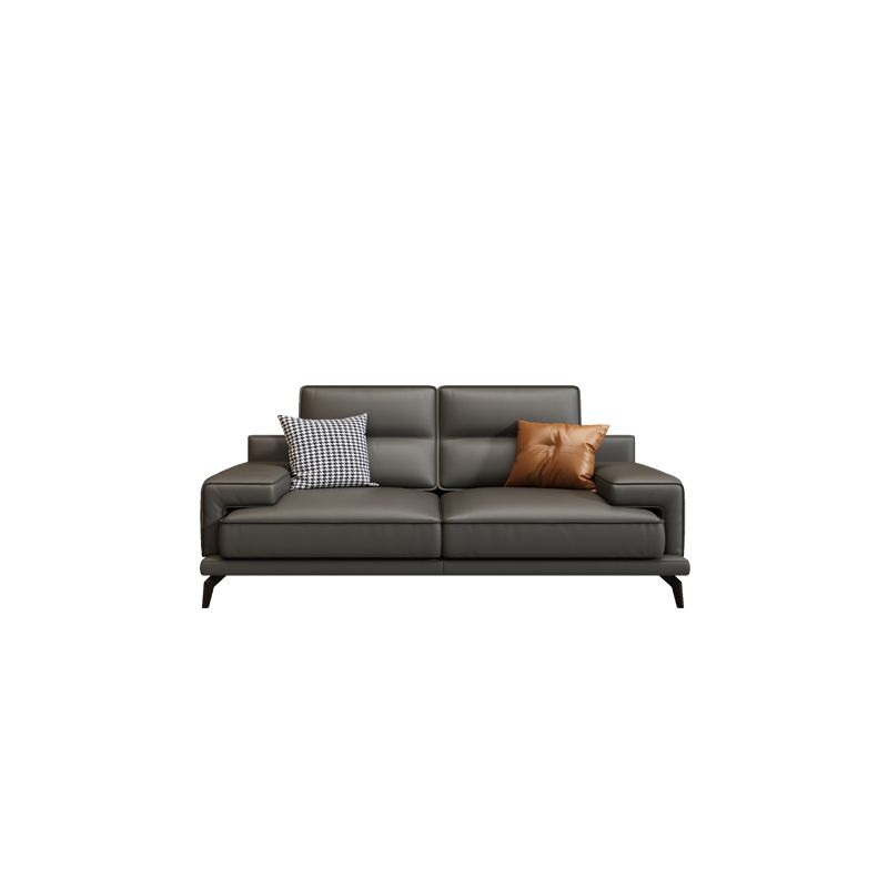 Genuine Leather Stationary Stain Resistant Living Room Gray Sofa
