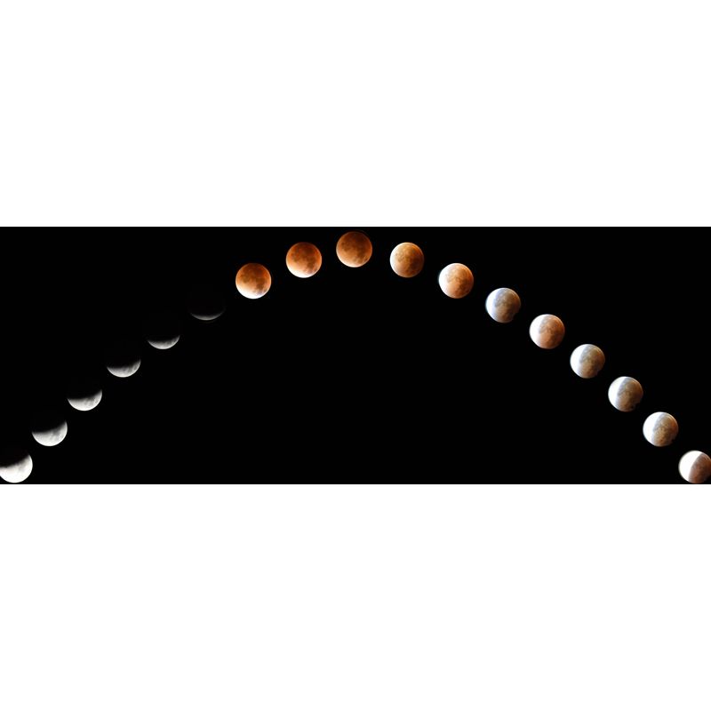 Whole Astronomy Wall Covering Mural Modern Complete Lunar Eclipse Wall Art in Black