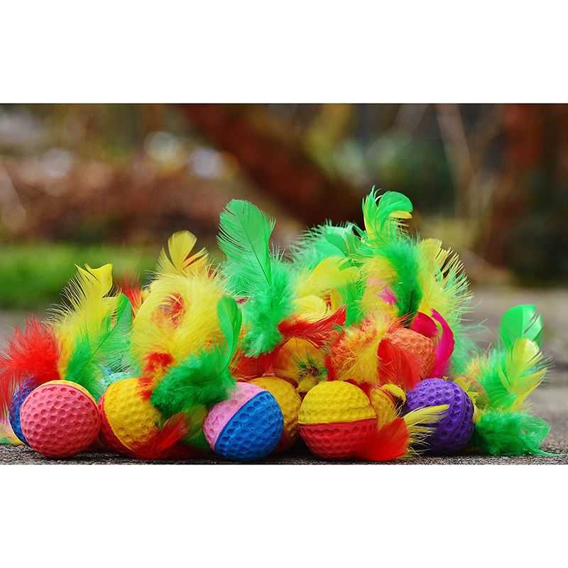 Mildew Resistant Wall Mural Wallpaper Modern Bird Feather Wall Decor