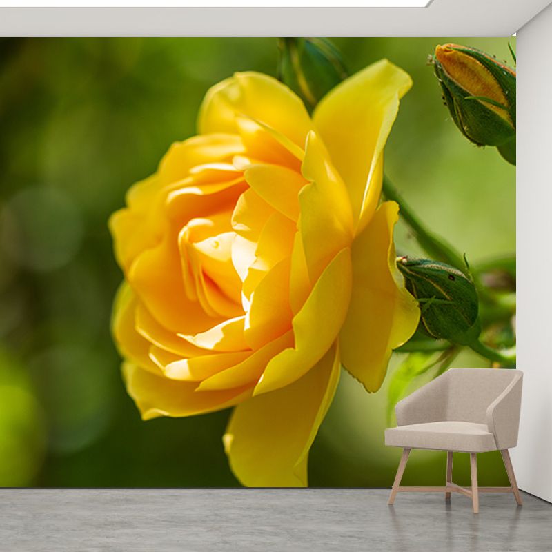 Beautiful Flower Mural Wallpaper Stain Resistant for Sleeping Room, Custom-Made