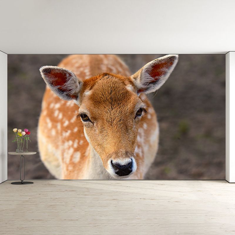 Deer Wall Decal Stain Resistant Mural Wallpaper Contemporary Bedroom Wall Covering