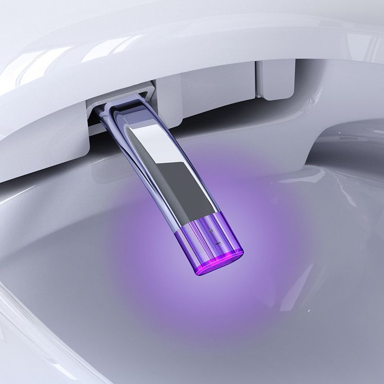 Contemporary 1-Piece Bidet Toilet Wall Mount Toilet Bowl for Washroom