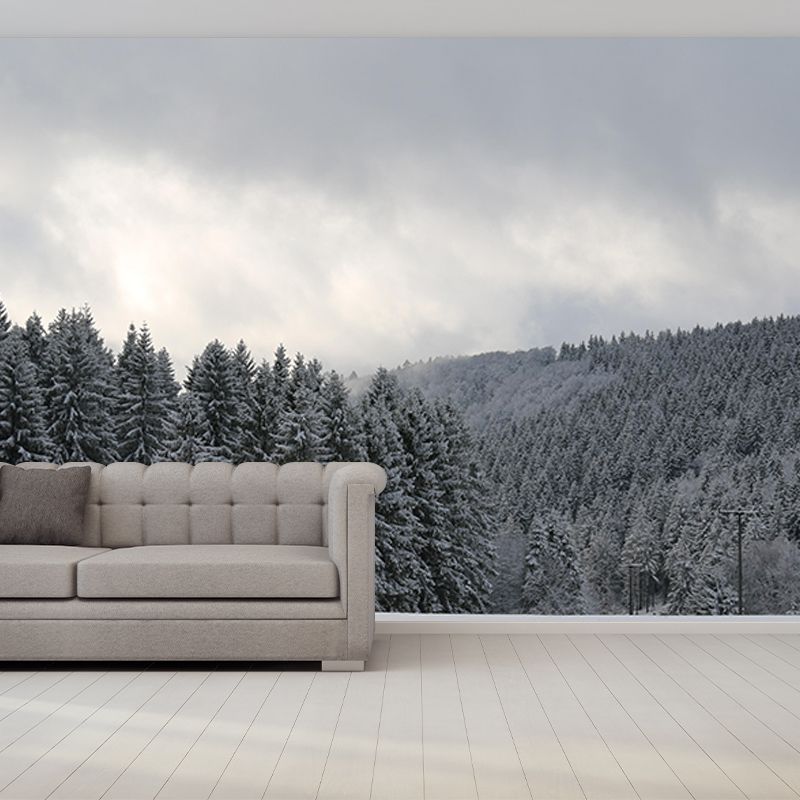 Beautiful Forest Mural Contemporary Photography Sleeping Room Wall Mural