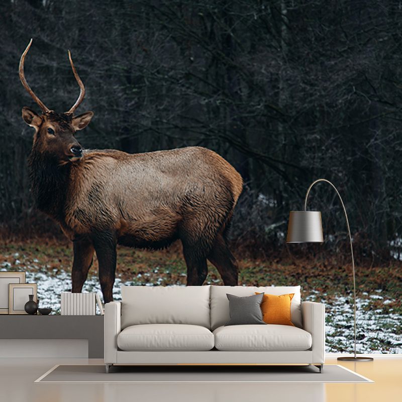 3D Mural Contemporary Style Wild Animal Mural Mildew Resistant Wall Art