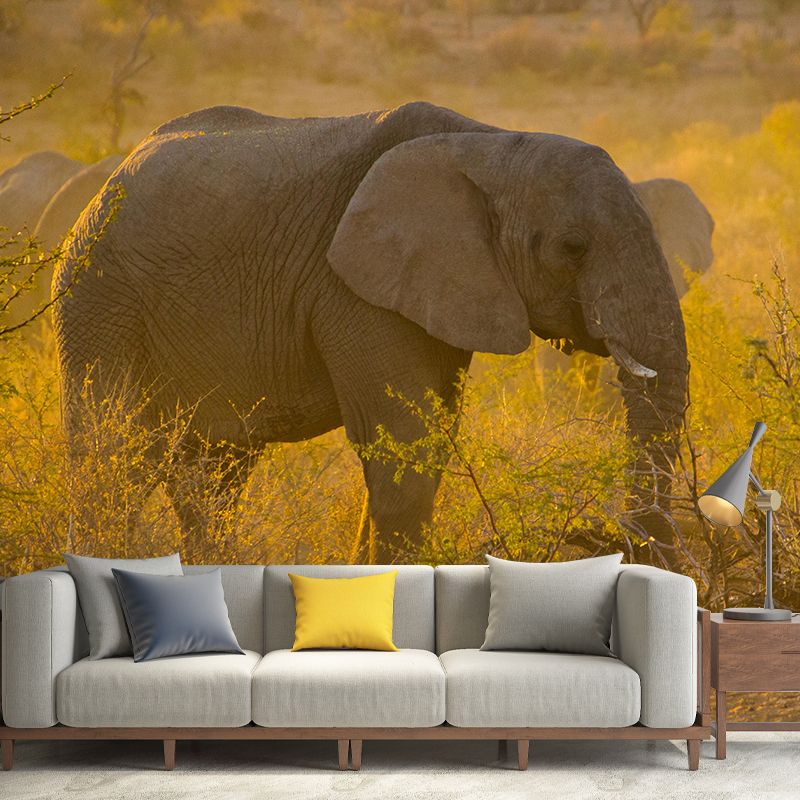 Huge Elephant Mural Wallpaper Contemporary Style Wall Covering for Living Room