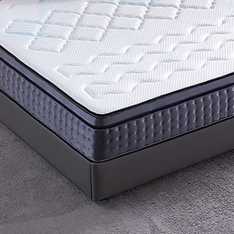 Grey Platform Bed Frame Contemporary Platform Bed with Lift Up Storage