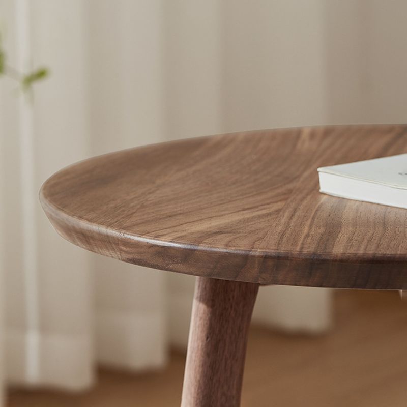Contemporary End Table Solid Wood Brown Living Room Side Table