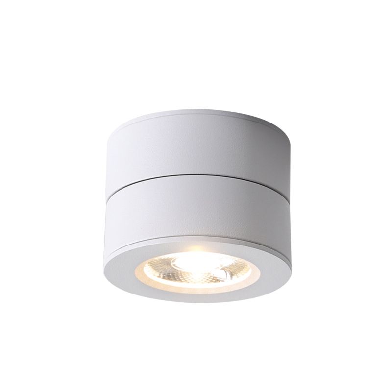 Modern Creative LED Rotatable Ceiling Light Aluminium Cylindrical Flush Mount with Clear Glass Shade