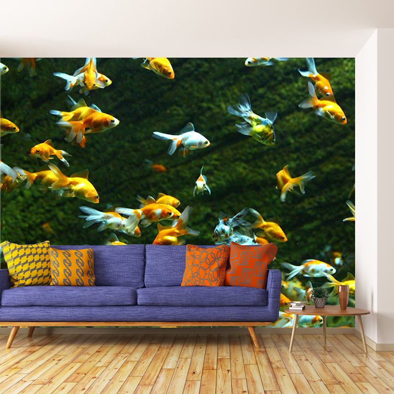 Sea Creatures Photography Decorative Wall Murals for Bedrooms Sitting Room