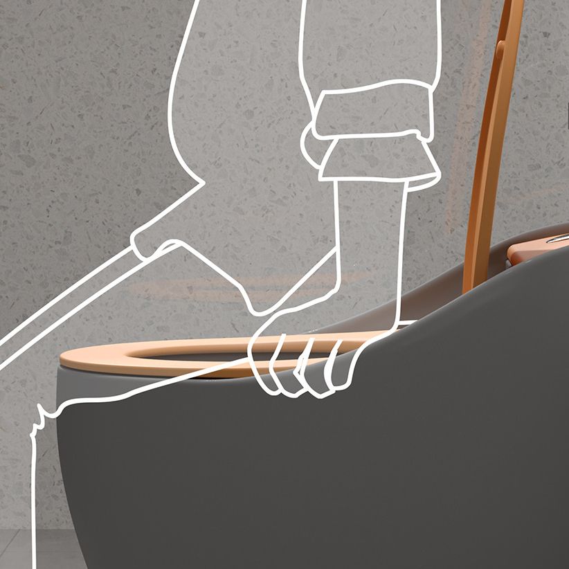 Concealed Tank Flush Toilet Floor Mount One-Piece Toilet with Slow Close Seat