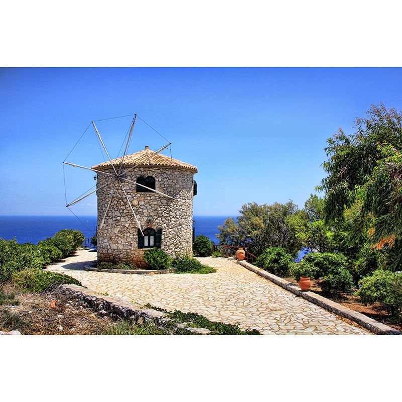 Photography Windmill Mural Wallpaper Eco-friendly for Sleeping Room