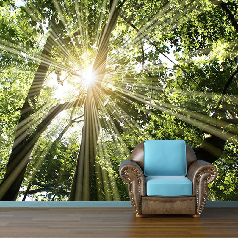 Dining Room Wall Mural Modern Forest Decorative Eco-friendly Wall Covering