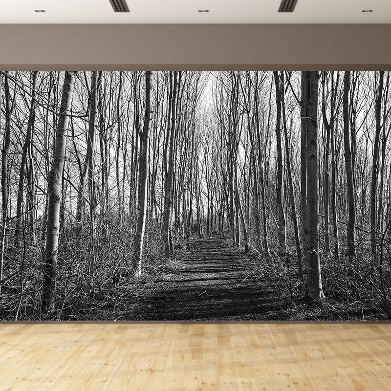 Photography Wall Mural Wallpaper Outdoor Path Living Room Wall Mural
