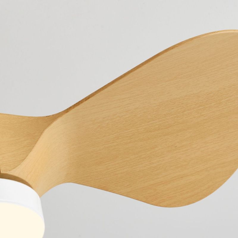 Metal Fan Shape Ceiling Fan Kid Style Single-Light Ceiling Fans Fixtures