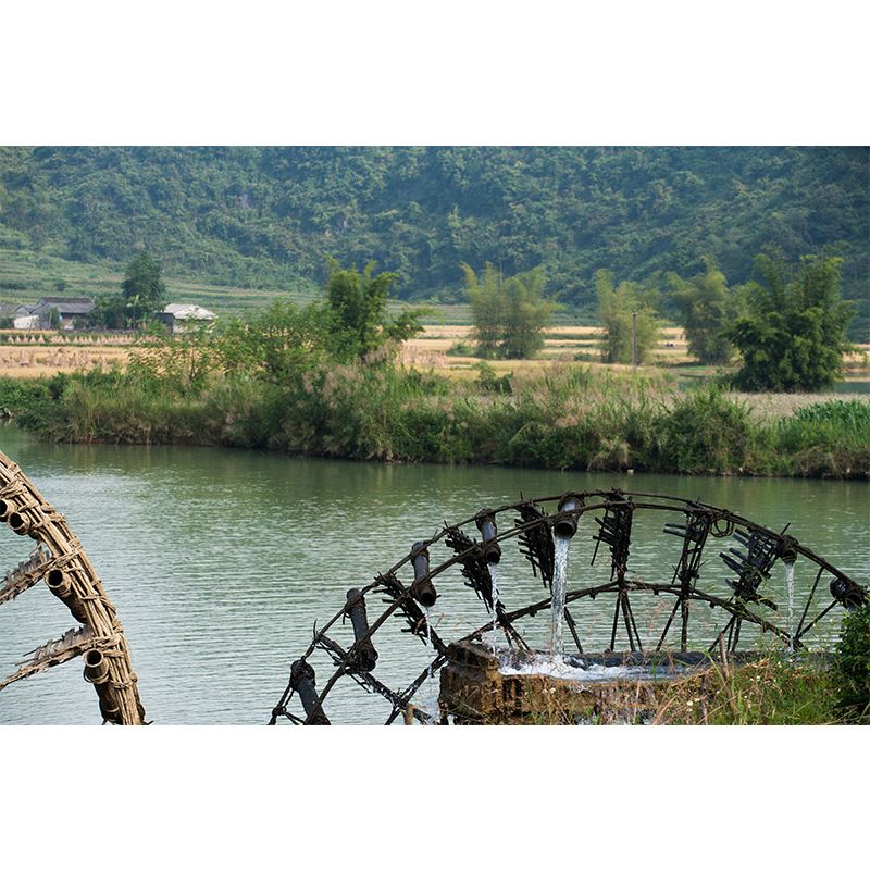 Country Water Mill Mural Mildew Resistant Wall Covering for Home Decor