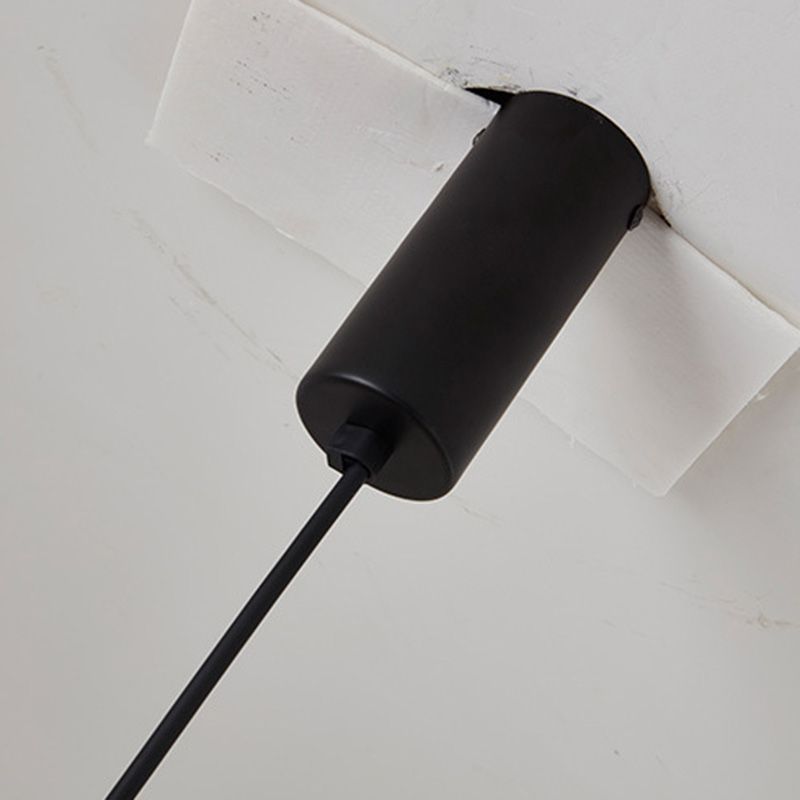 LED HORTING LIGHT avec un éclairage pendentif contemporain noir en acrylique