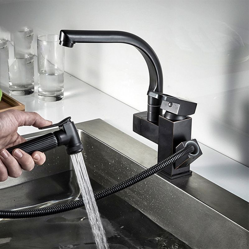 Traditional 1-Handle Faucet with Water Dispenser Standard Kitchen Faucet