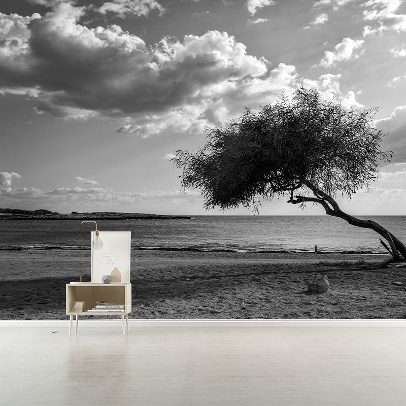 Sky Scene Wallpaper Contemporary Mural Mildew Resistant Wallpaper for Living Room