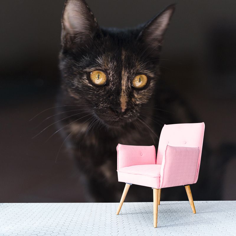 Lovely Kitten Mural Wallpaper Stain Resistant Wall Covering for Sitting Room