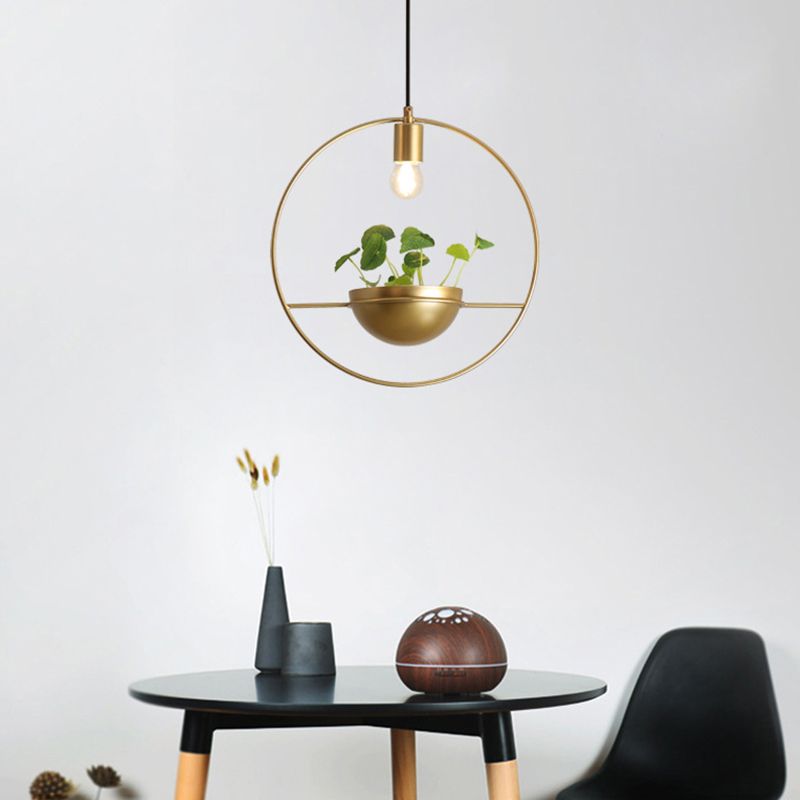 Gold Circular Hanging Light Fixture Factory Iron 1-Head Dining Room Plant Pendant Lighting