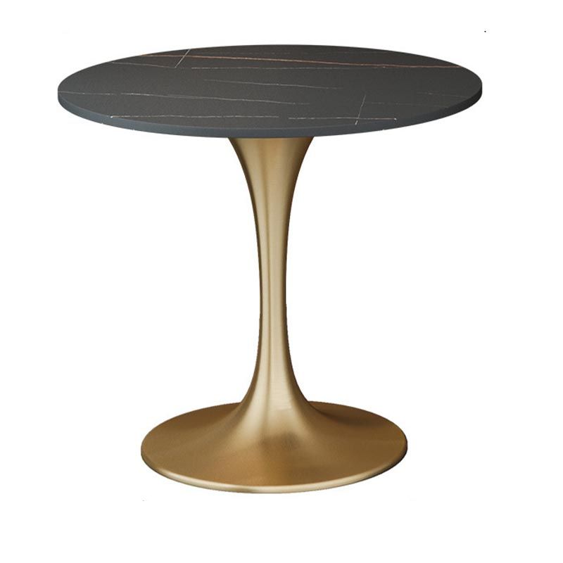 Metal Traditional Luxury Round Table with Tulip Base Sintered Stone Dining Table for Home
