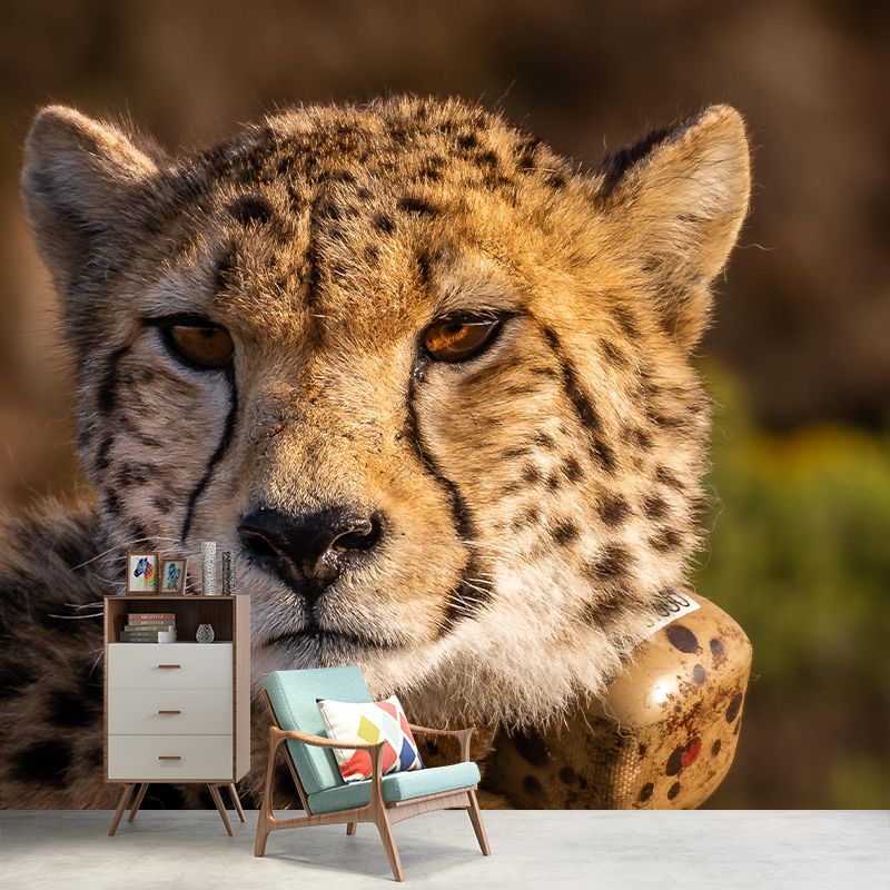 Fierce Cheetah Mural Wallpaper Decorative Contemporary Dining Room Wall Decor