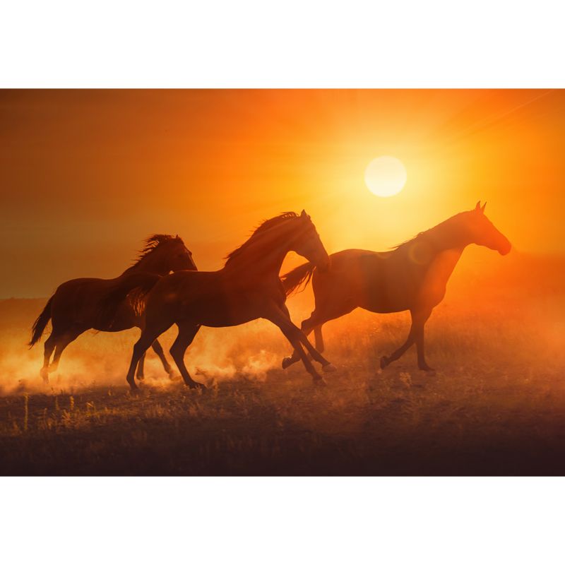 Running Horse and Sunset Mural Decal for Boys Bedroom Animals Wall Decor, Custom