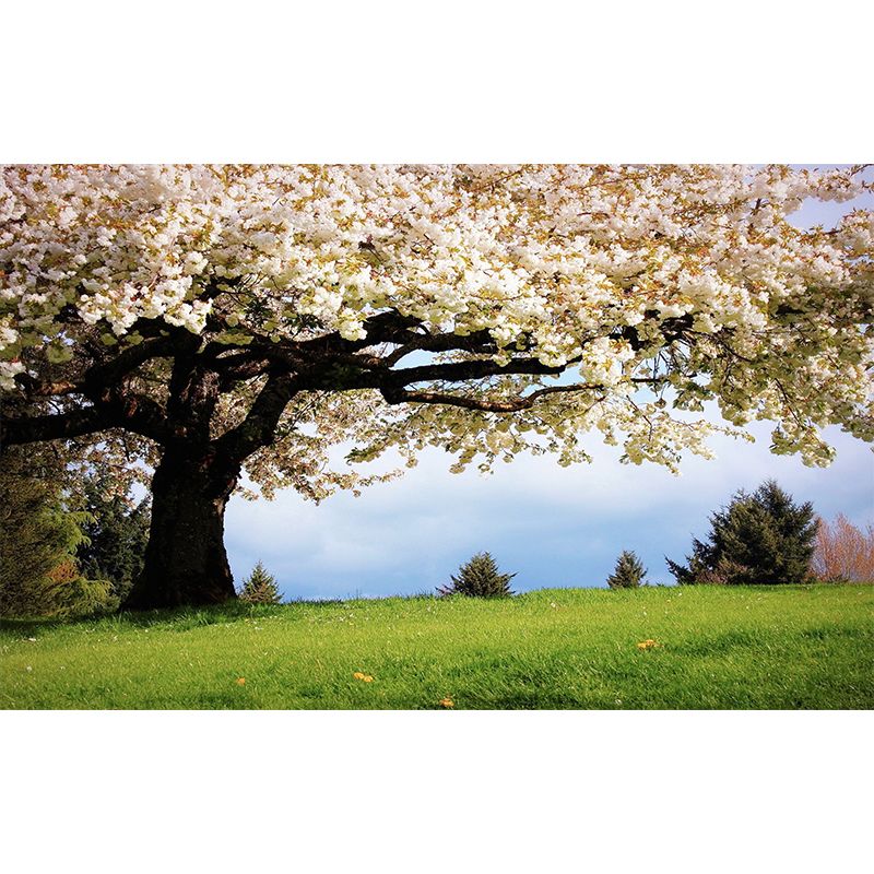 Beige and Green Minimalist Mural Wallpaper Personalized Size Sakura Blossom Wall Decor for Guest Room