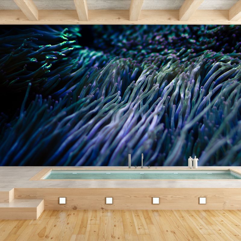 Photography Underwater World Wall Mural Contemporary Decorative Wall Murals for Bedrooms
