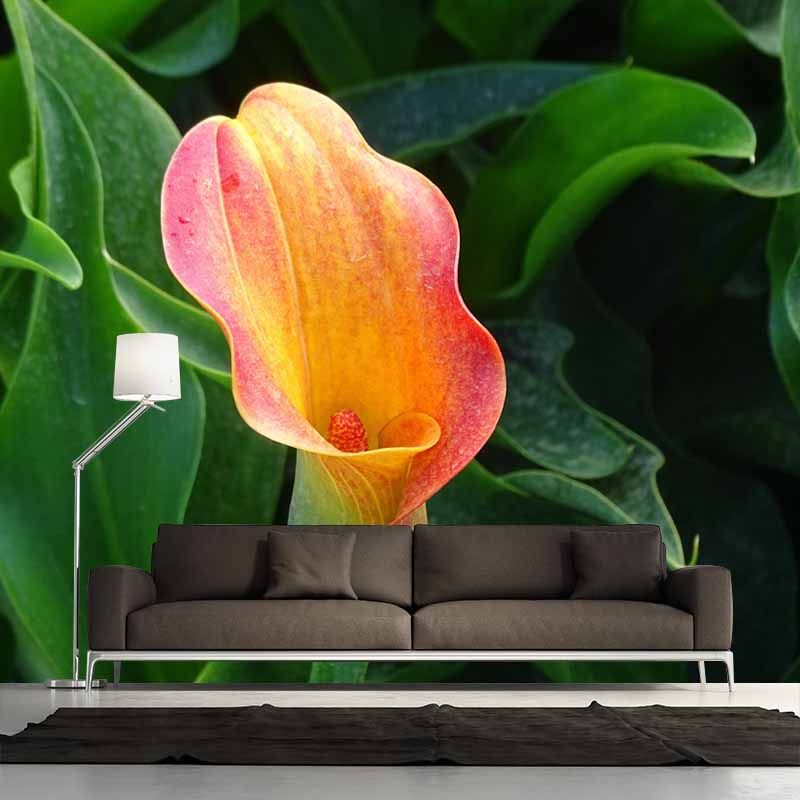 Horizontal Photography Calla Wall Mural for Living Room Girls Women Bedroom