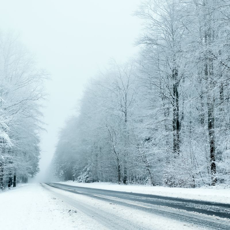 Photography Highway Snow Forest Mural Large Size Wall Covering for Home, Custom Print