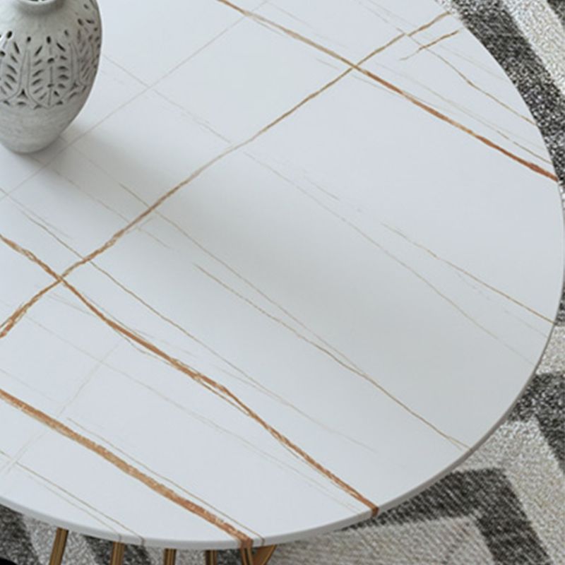Glam 17.7" H Oval Slate Coffee Table Metal Frame Cocktail Table