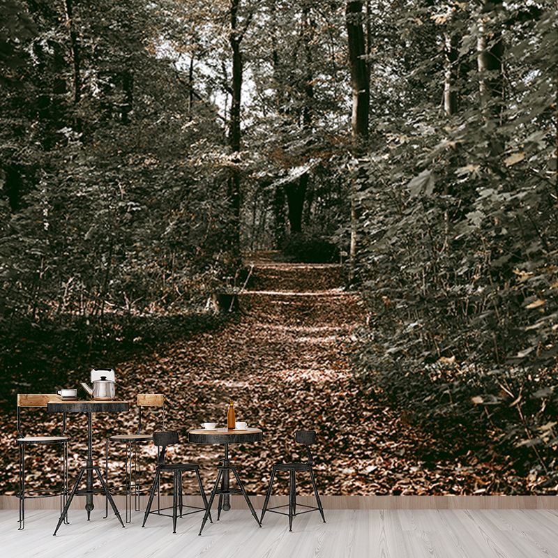 Forest Path Mildew Resistant Mural Wallpaper Sleeping Room Wall Mural