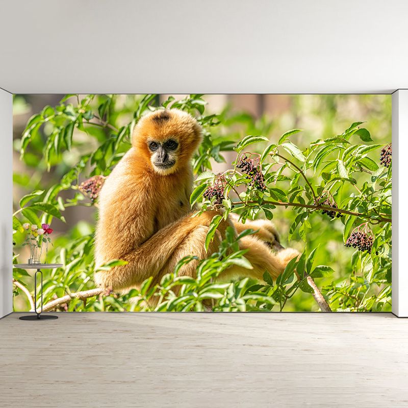 Modern Style Gibbon Mural Wall Decor Mildew Resistant Living Room Wall Mural Wall Art