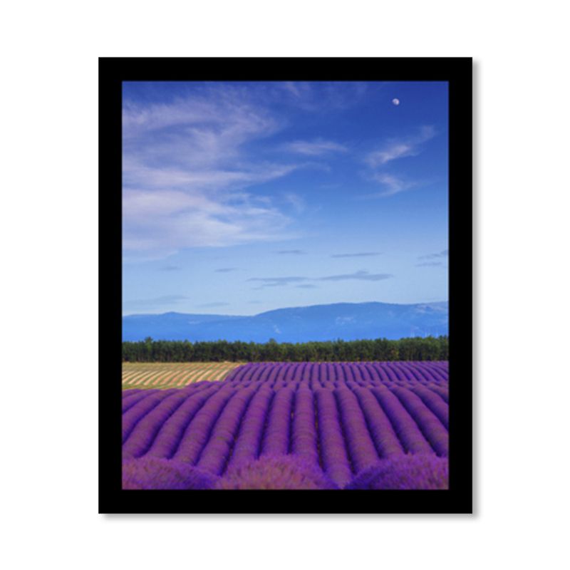 Lavender Field Scenery Art Print Farmhouse Canvas Wall Decor in Dark Color for Room