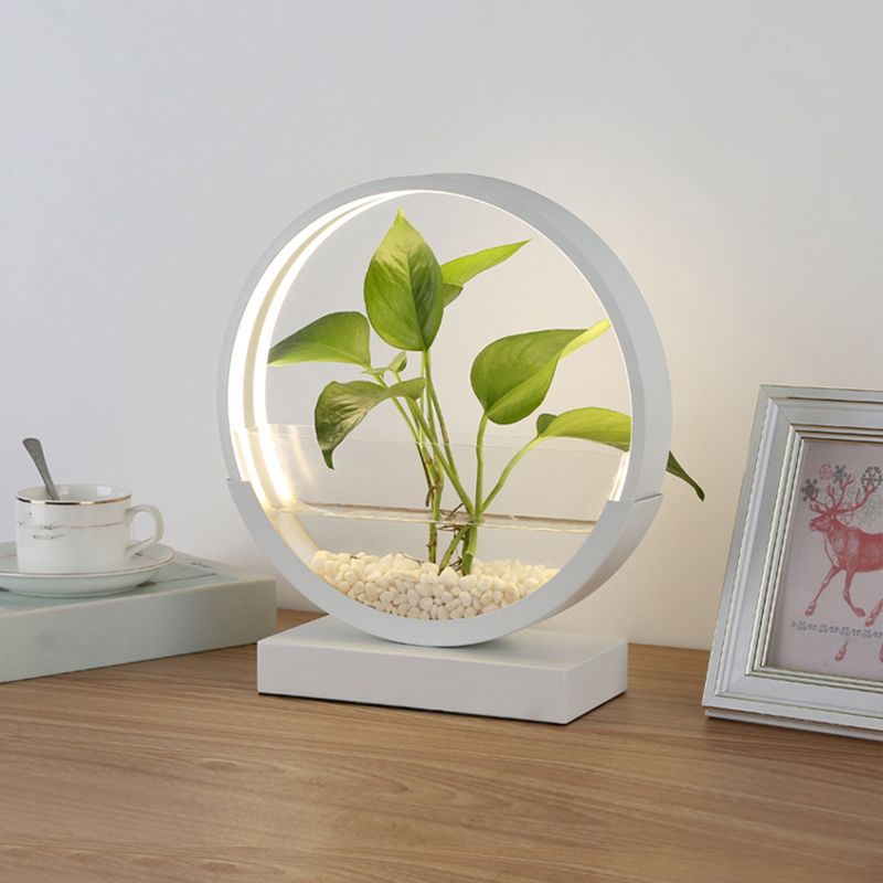 Lampada da tavolo da tavolo del cerchio nordico Acrilico Luce notturna a LED con pianta idroponica design