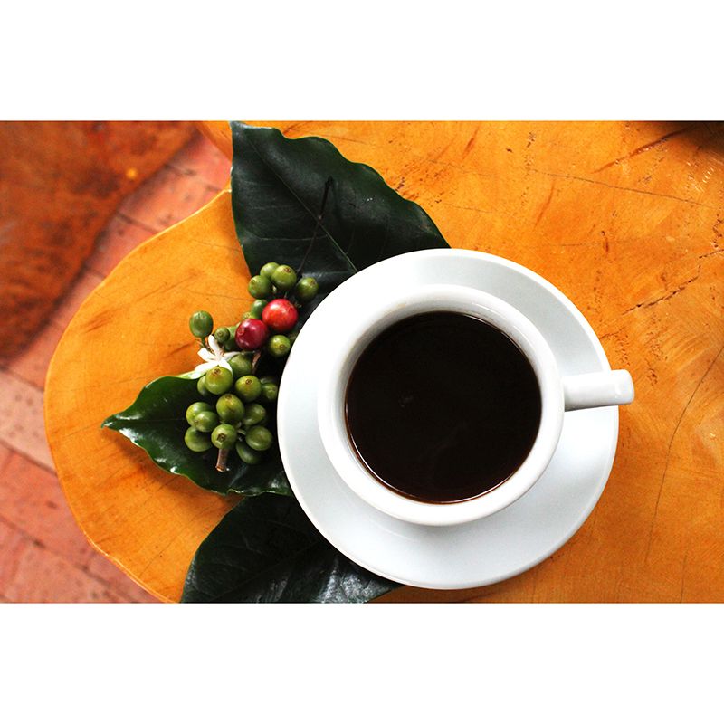 Vinyl Coffee Wall Decal Cooffee Shop Kitchen Dining Room Decor Waterproof